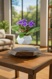Levitating - Floating Flower Pot with Wood Base ©