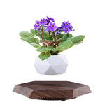 Levitating - Floating Flower Pot with Wood Base ©